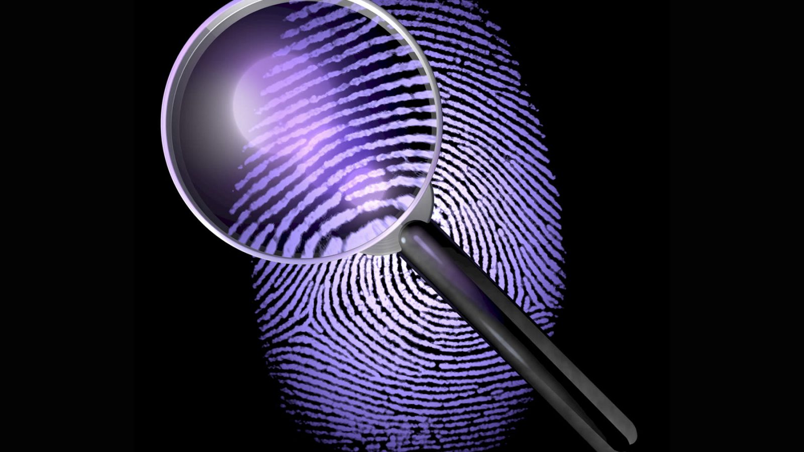 Licensed California Private Investigations